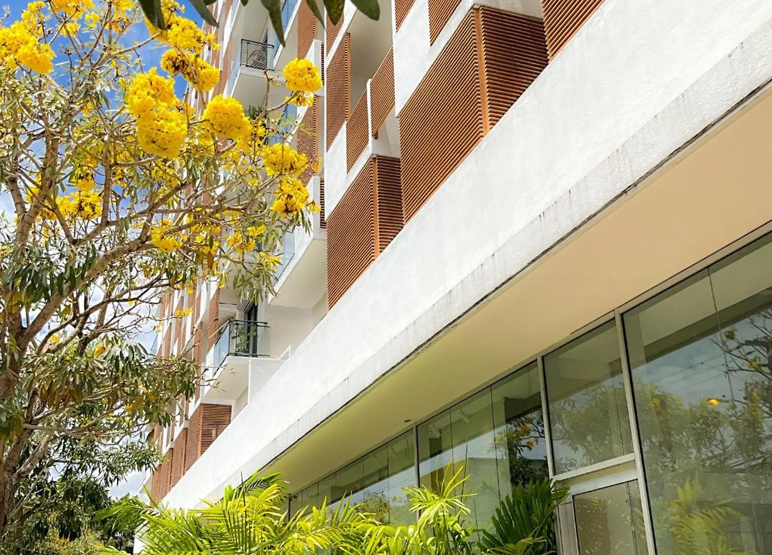 Comfortable Central Apartment Santo Domingo Dominikanska republiken